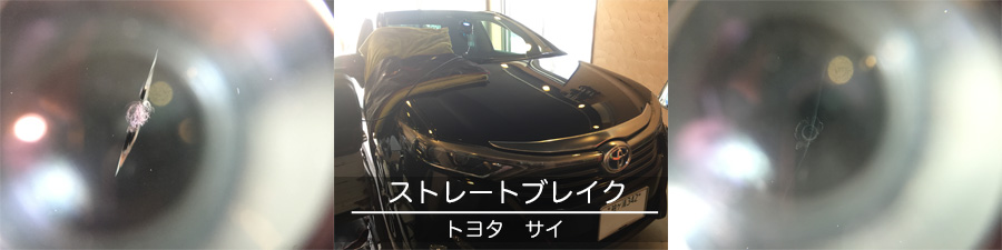 サイのフロントガラスリペア
